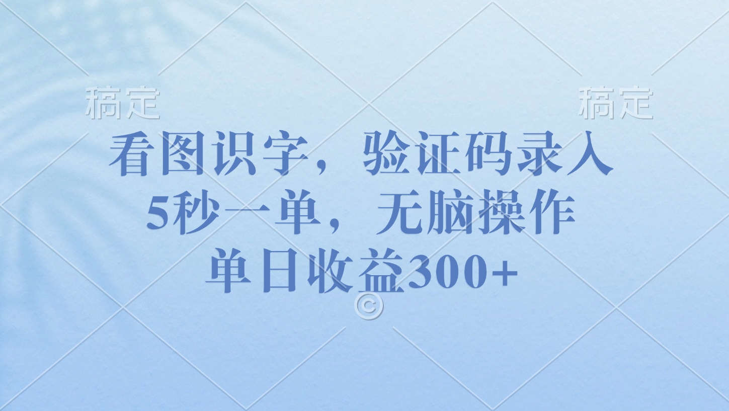 看图识字，验证码录入，5秒一单，无脑操作，单日收益300+