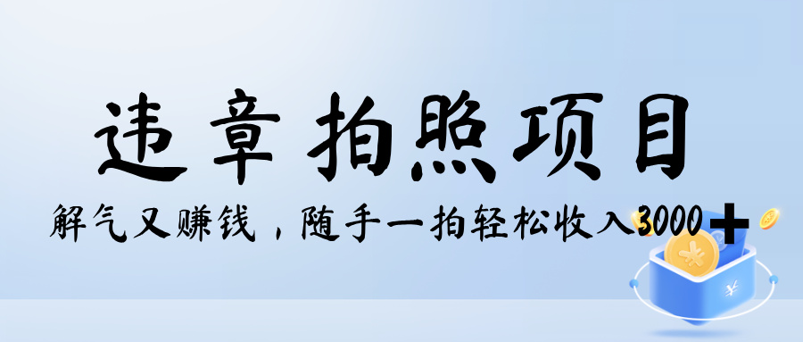 解气又赚钱的项目，最新违章拍照赚钱，随手一拍，轻松收入3000+
