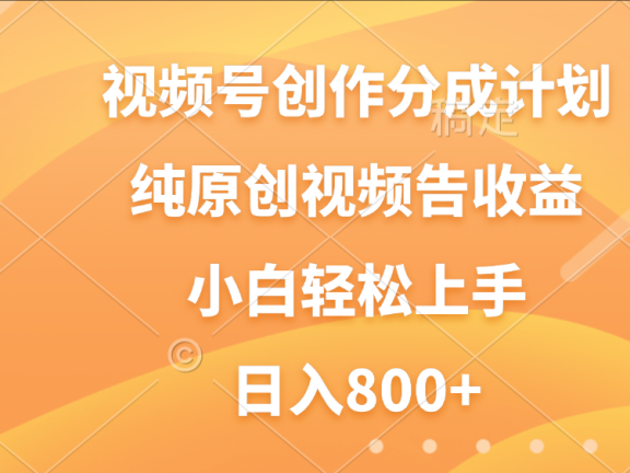 视频号创作分成计划，纯原创视频告收益，新手小白轻松上手，日入800+